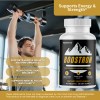 Boostron Supplement – Supports Stamina & Energy Formula | 60