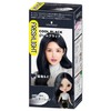 Fresh Light Milky Hair Color Restorer Cool Black 1 Piece