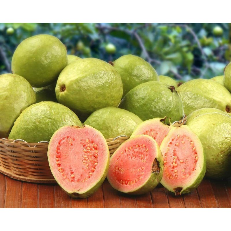 CZ Grain 100 Guava Fruit Tree Seeds for Planting Exotic