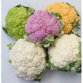 NIKA SEEDS - Seeds Vegetable Cauliflower Cabbage Mix - 200 Seeds