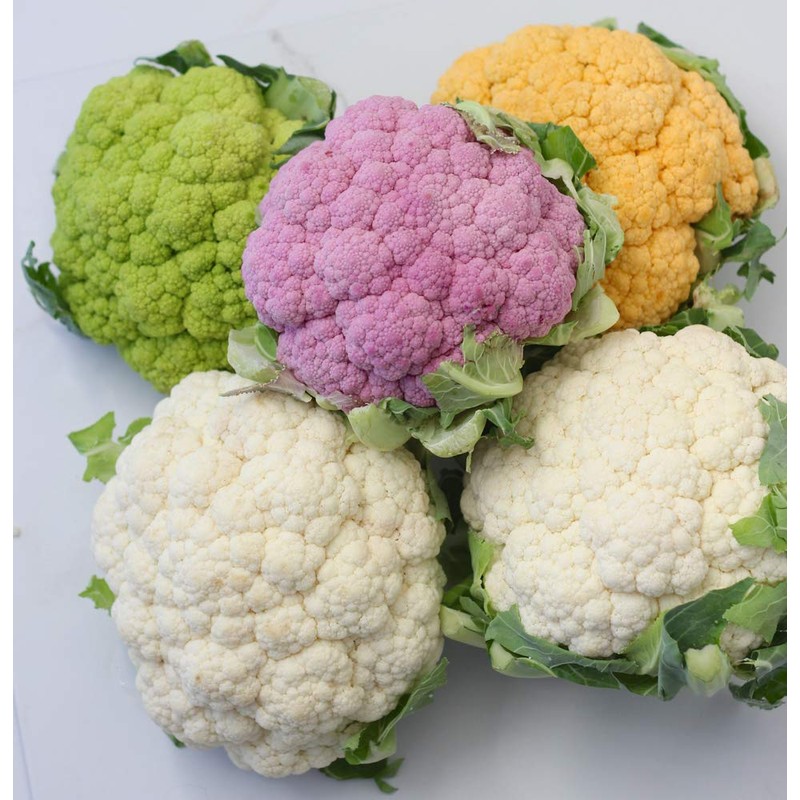 NIKA SEEDS - Seeds Vegetable Cauliflower Cabbage Mix - 200