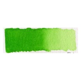 Schmincke Horadam Aquarelle Watercolor, Permanent Green (14526043)