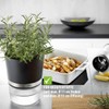 GEFU Botanico Herb Pot Silver/Black One Size