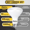 Halco ProLED BR30 Flood Led Light Bulbs, Dimmable, 8W 650