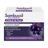 Sambucol Cold & Flu Cap X 24