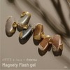 ARTiS di Voce x emena Magnetic Flash Gel AMF02 8g