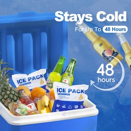 Blue Ice Packs for Coolers, Shipping and Lunch Box | Cold for Up to 48 Hours | Slim Size Long-Lasting Reusable Ice Pack | Gel Freezer Packs for Camping, Beach, Fishing, Shipping Food (4" X 4" 24pcs)