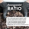 Mycelium Sterilized 5 LB Mushroom Grain Spawn Bag | Organic