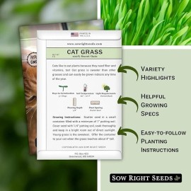 N/A Cat Grass Seeds for Indoor – Hierba Dulce para Gatos, 100% Avena, Grow Kit