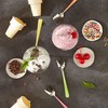 RSVP International Ice Cream Tool Collection, Dishwasher Safe, Large Handle,