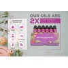 Simplistic Elegance Essential Oils Set - Top 6 Natural Aromatherapy