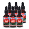 (Tonglife) Flavonoid 463mg propolis liquid 30ml 6 bottles Tonglife propolis liquid / (통라이프)플라보노이드463mg 프로폴리스액상30ml 6병 통라이프 프로폴리스액상