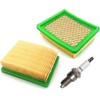 Fransande sallygardens 2 x Air Filter Including Spark Plug for
