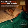 greenoak Heated Blanket Electric Throw 50"X60", Heating Blanket with 10