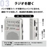 Ohm Electric AudioComm Pocket Radio AM/FM Silver RAD-P211S-S 03-0975 OHM