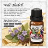 HIQILI Wild Bluebell Diffuser Oil for Scent Diffusers, Inspired by