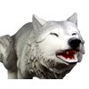 Ebros Gift Tribal Pack Alpha Leader Large Howling Gray Wolf