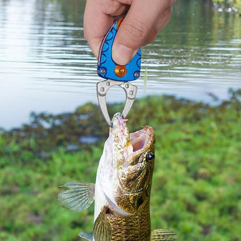 Portable Fish Lip Gripper, Aluminum Fishing Gripper, Mini Beetle Shaped