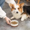 MALACASA Dog Bowls, Ceramic Dog Food and Water Bowls for