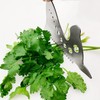 Herb Strippers 10 Holes-Stainless Steel Kitchen Leaf Stripping Tool- Perfect