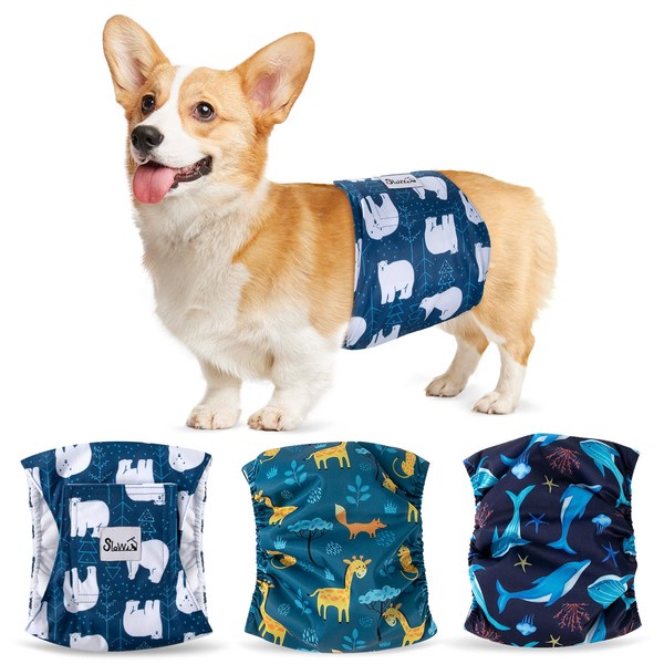 SlowTon Pañales Lavables para Perros Macho Más Amplio, Set de