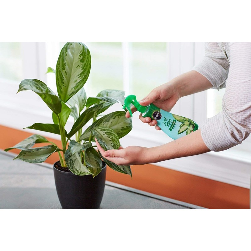 Scotts Leaf Shine, 8-Ounce (6 Pack)