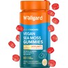 Wellgard Vegan Sea Moss Gummies, Formulated for Immunity with Iodine,