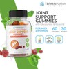 Terraform Nutrition Extra Strength Joint Support Gummies with Glucosamine &