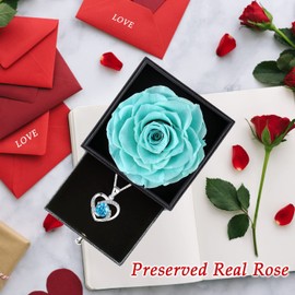 OIOYLEY Eternal Rose Gift Box with Splitter Necklace, Preserved Rose, Rose Gifts for Women for Valentine's Day, Mother's Day, Anniversary, Birthday for Mother, Sister, Wife (Tiffany Blue)
