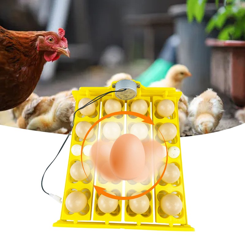 Egg Turning Tray Multifunction Automatic Egg Turner Incubator Tray for