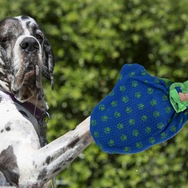 Pet Grooming Gloves - Cat Detangler Gloves | Multifunctional Pet Accessory, Gentle Massage Grooming Tool For Cat Bunny Hamster Puppy Care