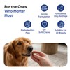 animigo Multivitamins and Minerals for Dogs - 120 Soft Chews