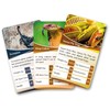 Kaizen Microlessons Smart Cards. (Predators Trump Cards)
