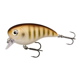 Berkley Pulse Biggie Crankbait Fishing Lure, Shallow Running Hard Bait for Pike and Predator Fishing, Long Casting Floating Lure with Fusion19 Hooks, High Water Displacement Freshwater, 8cm, Goldie