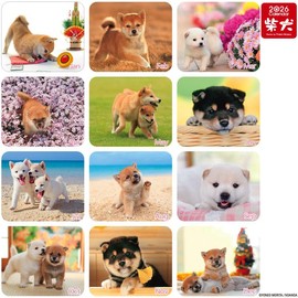 Set of Shiba Inu Desktop Calendars 2025 & 2026 with Cute Shiba Dog Puppy and Japanese Seasonal Backgrounds Pictures, US Holidays & Observances, Monthly Calendar