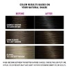 Better Natured Permanent Hair Color Cream Dye, Gray Coverage, 3N