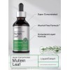 Horbäach Mullein Leaf Liquid Extract | 2 fl oz |