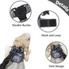 3 Pack Bearded Dragon Harness and Leash Set - Adjustable