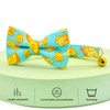 Cheese Cat Bow Tie Collar, Blue & Yellow Cheese Pattern,