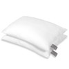 Fh Fam' Home Cosiness pillow set of 2 soft microfiber