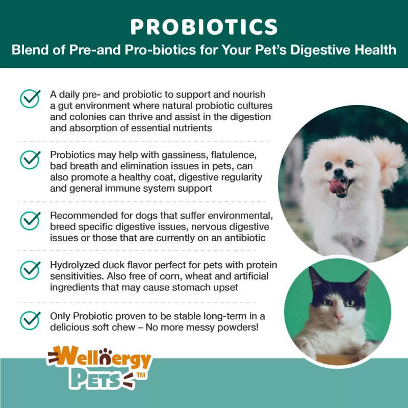 Probiotic for Dogs & Cats, Travel Pack (6) - Digestive