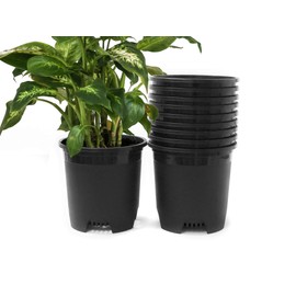 2 Gallon 10-Pack Nursery Pot Black Plastic Planters for Outdoor Indoor Plants Gardening Flower Pots Plant Pots with Drainage Holes