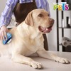 Fancy Pets FL8337 Peine Giratorio 3 en 1