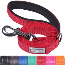 Vivaglory Dog Lead with Comfortable Padded Handle, Reflective on Both Sides, Dog Lead for Training and Walks, Strong Rip-Resistant Nylon Dog Lead for Medium and Large Dogs