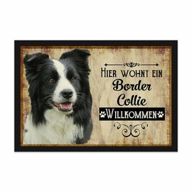 PR Print Royal Door Mat Pets with Dog Picture Border Collie - Gift Idea for Dog Lovers and Dog Owners - Size 60 x 40 cm