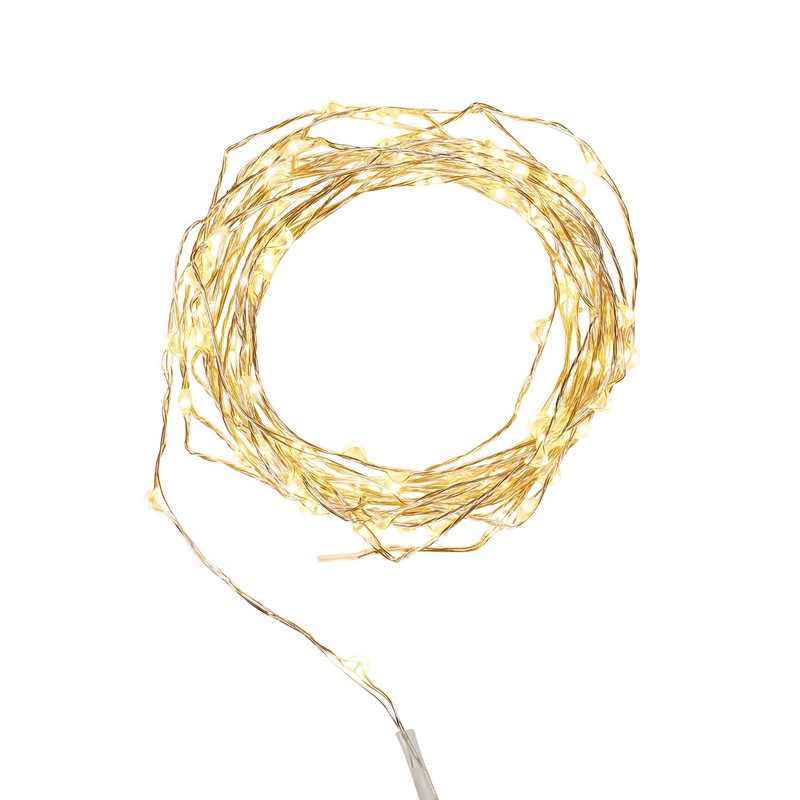 Lights4fun Indoor String Fairy Lights with 100 Warm White Micro