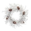 Melrose Iced Branch with Pinecone Artificial Christmas Wreath, 24-Inch, Unlit