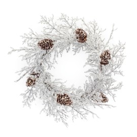 Melrose Iced Branch with Pinecone Artificial Christmas Wreath, 24-Inch, Unlit