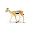 Safari Thomson Gazelle Animal Figure 227029