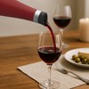SASEUM Wine Bottle, 24 oz Insulated Stainless Steel Water Bottle